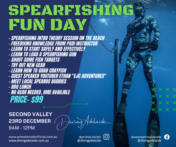 Introduction to Spearfishing Fun Day