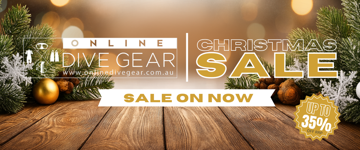 Christmas Sale Banner