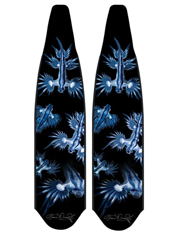 DiveR Blue Dragons Back