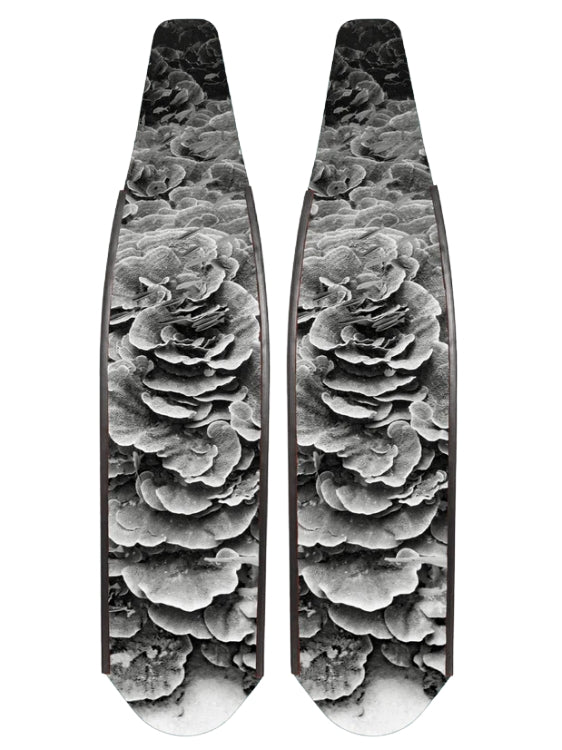 DiveR Coral Black & White