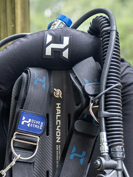 Halcyon Era Single Wing - 30 or 40lb ($895) | ODG Australia