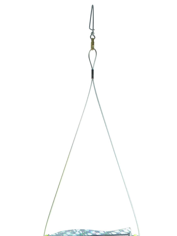 Rob Allen Ladder Teaser (Flasher) ($109) | ODG Australia