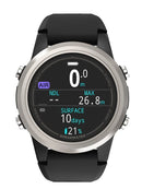 Shearwater Tern Front