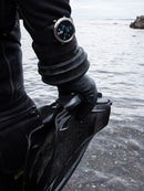 Shearwater Tern Lifestyle Beach