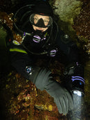 Shearwater Tern Lifestyle Cave