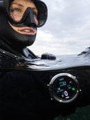 Shearwater Tern Lifestyle Underwater