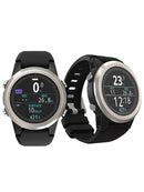 Shearwater Tern Pair