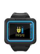 Shearwater Peregrine Charging Screen