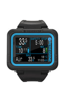 Shearwater Peregrine Standard Dive Screen